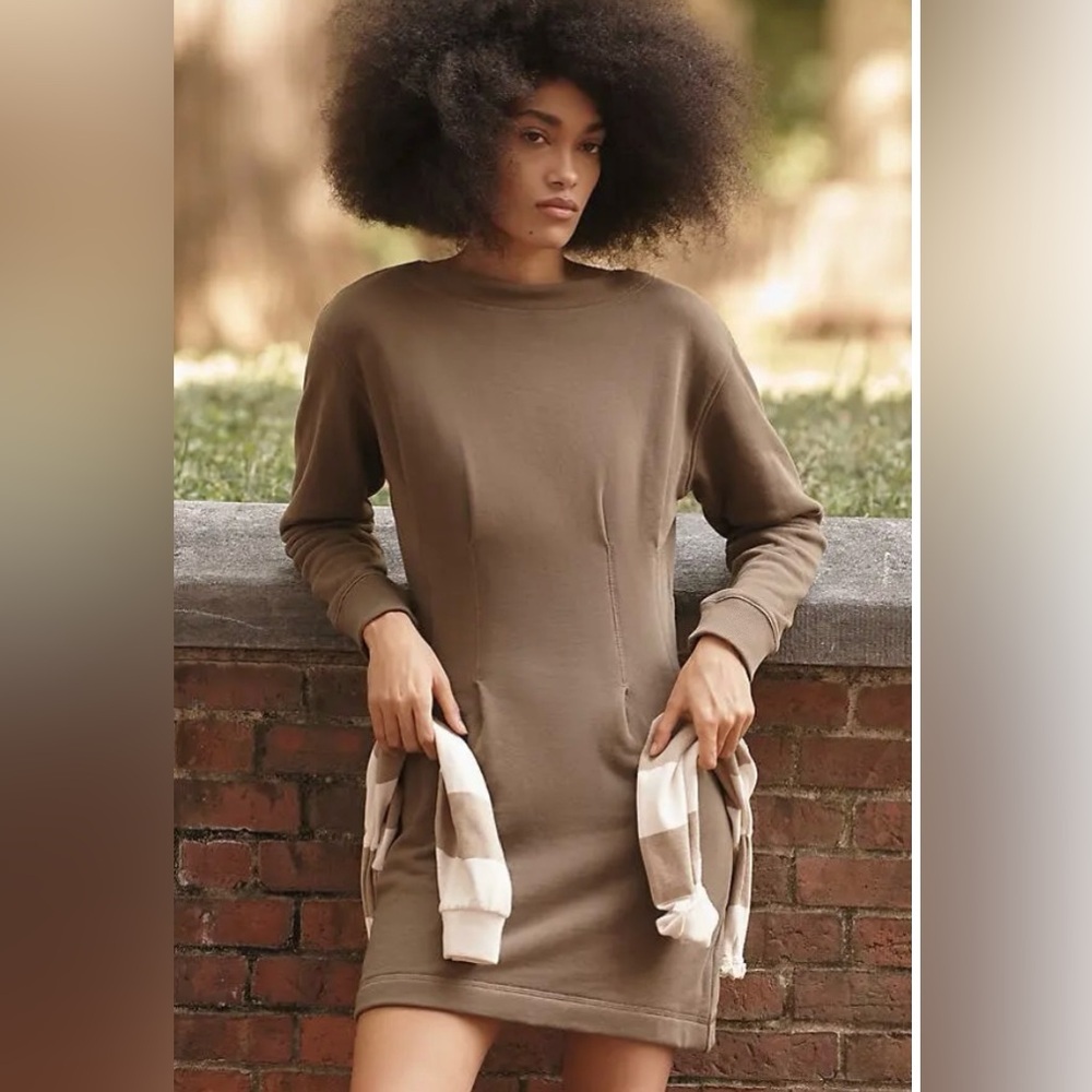 NWT Nation LTD Ronni Sweatshirt Dress Size XS